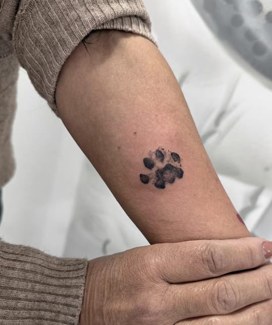 Tatuaje de animales en línea fina: huella de pata, antebrazo — Madrid
