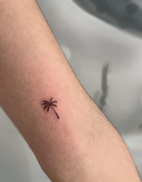 Micro tatuaje minimalista de palmera en línea fina, brazo — Madrid