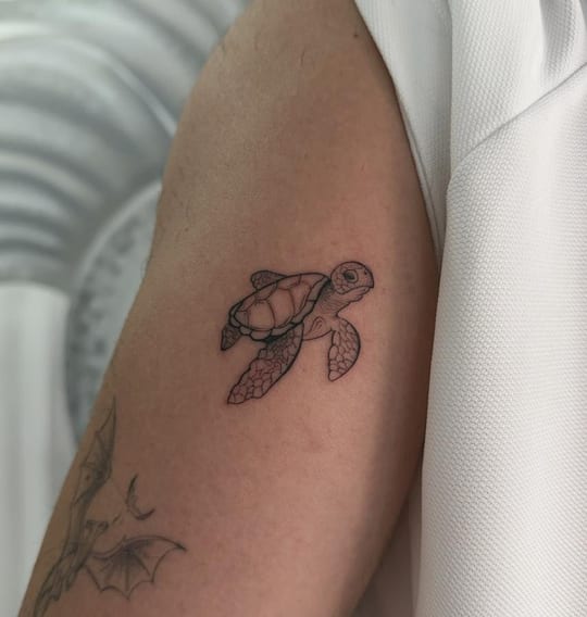 Tatuaje de tortuga marina en línea fina, brazo — Madrid